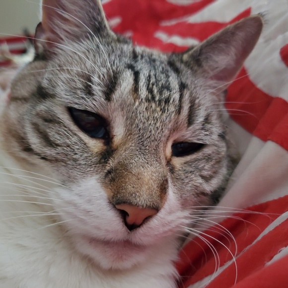 Meet your Posher, Sarah - Picture 1 of 1